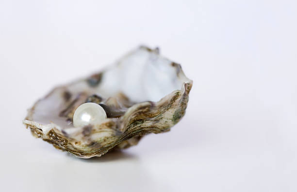 Raw Stone vs Polished Stone Jewellery: Pros and Cons