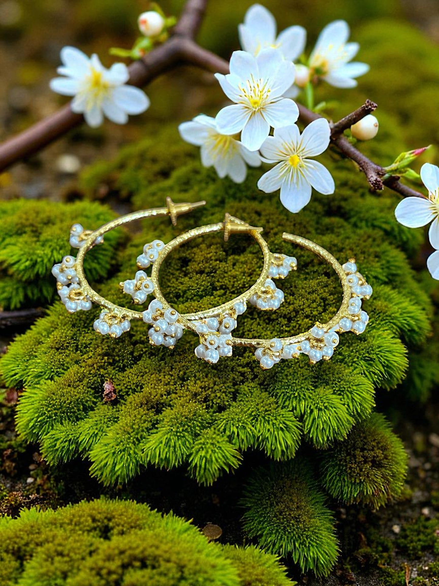 Chandra Loreal Earrings